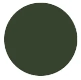 RAL 6020 Темно-зелений